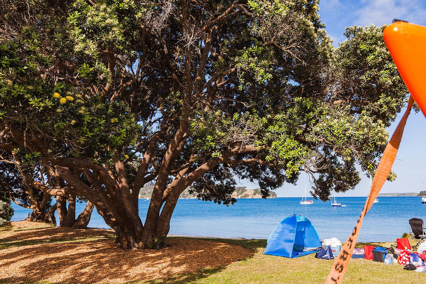 A sunny campground next to the water.